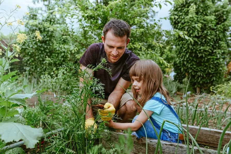 Actividades de alimentación saludable para niños