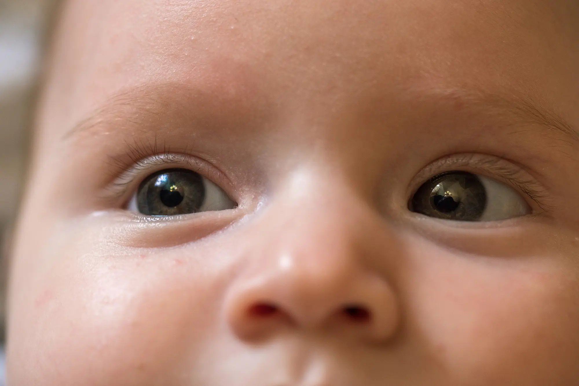 Cómo ven los bebés