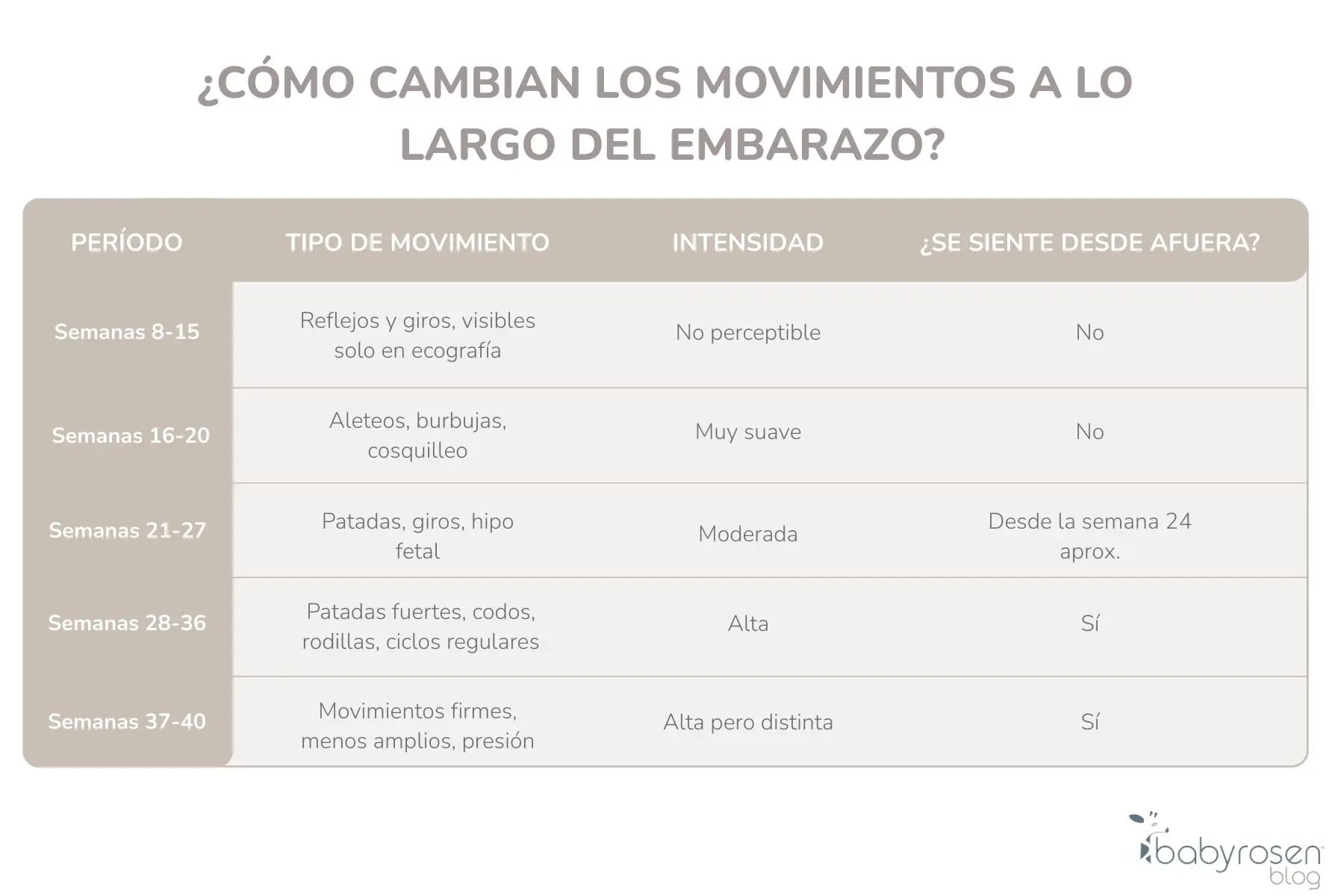 RSN BS - Tabla a las cuantas semanas se siente al bebé