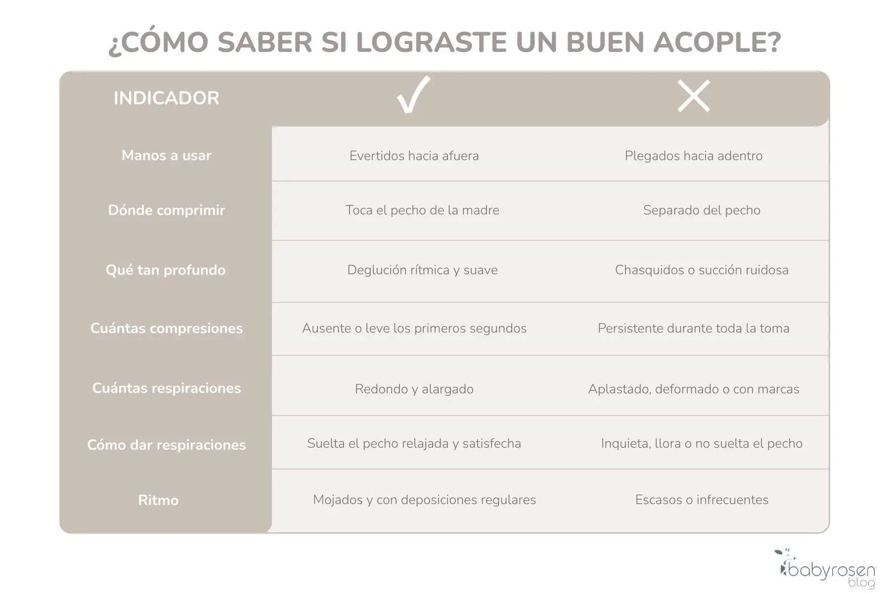 RSN BS - Tabla acople lactancia