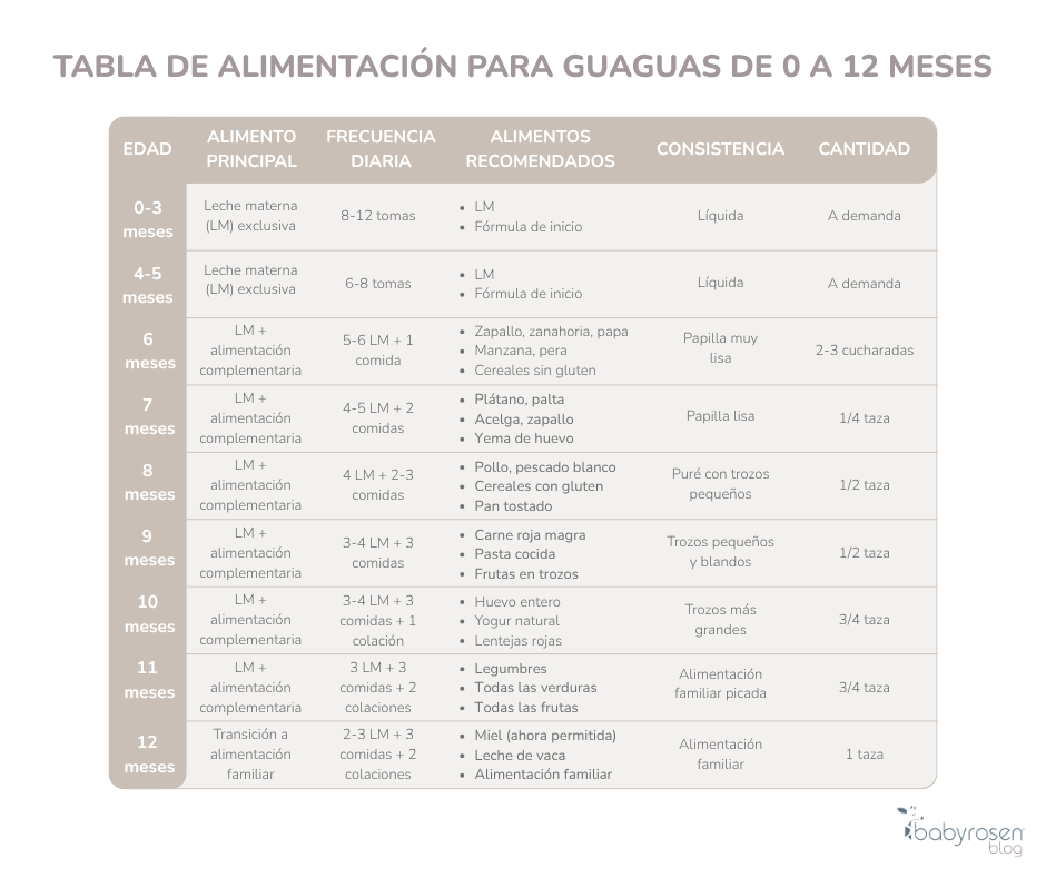 Tabla de alimentación para guaguas de 0 a 12 meses