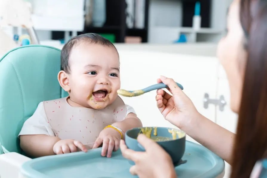 alimentos para bebés de 6 meses