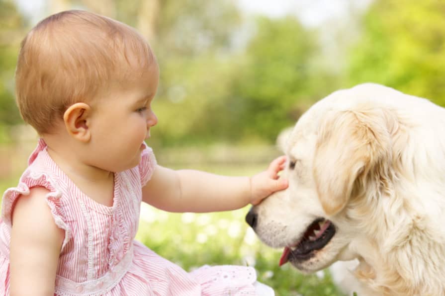 perros y bebe